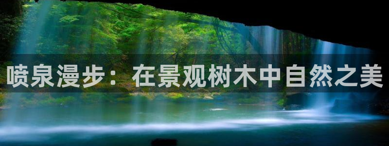 新宝gg招商