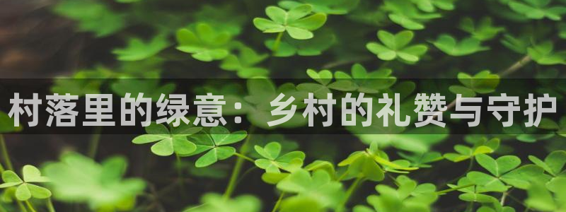 新宝娱乐gg