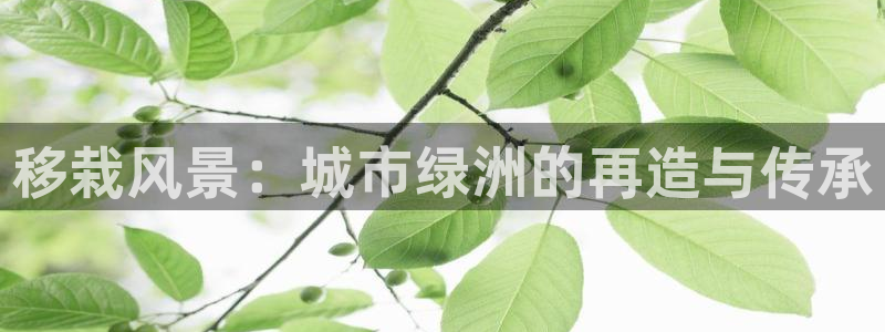 新宝娱乐gg