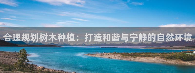 新宝gg是什么