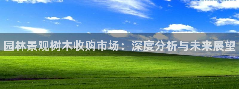 新宝gg如何注册