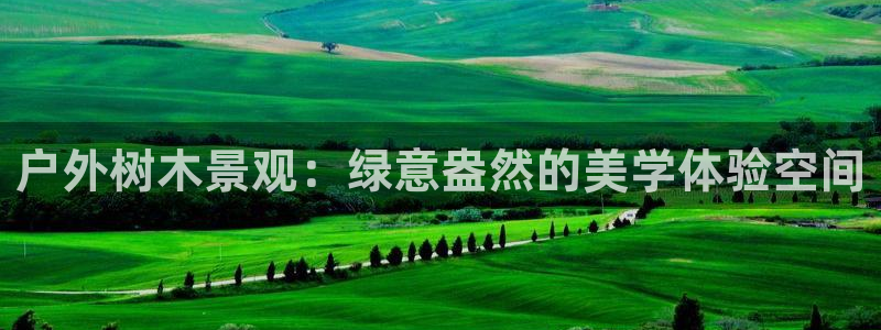 新宝gg 网址