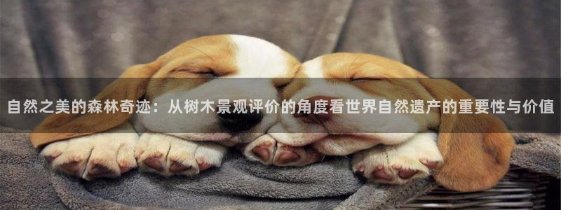 新宝GG挂机