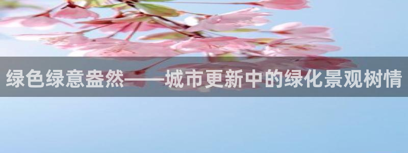 新宝gg软件