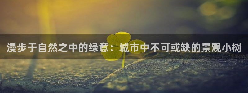 娱乐世界新宝gg