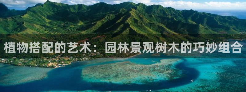 新宝gg欢迎