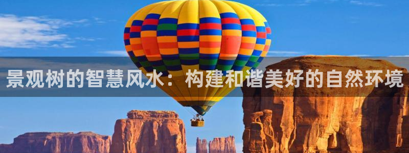怎么代理新宝gg