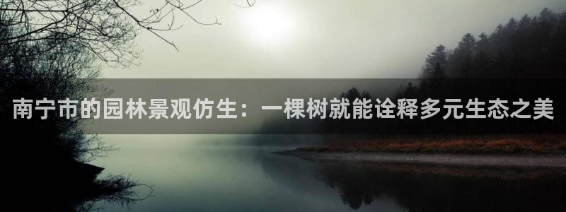 新宝gg在哪开户