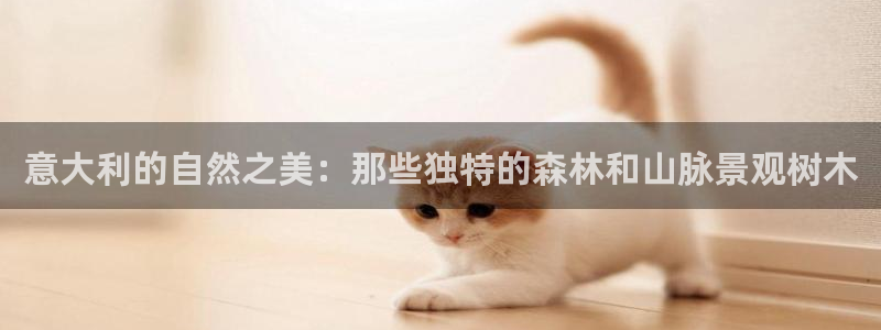 新宝gg样
