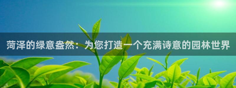 新宝gg是新宝几