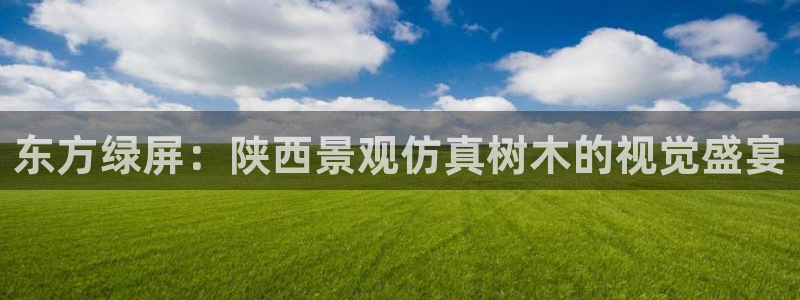 新宝gg 主管