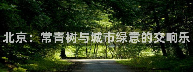 新宝gg首页