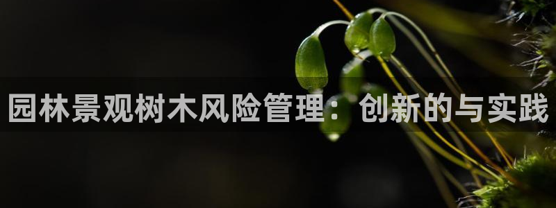 新宝gg主管开