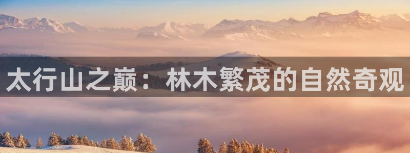 新宝gg平