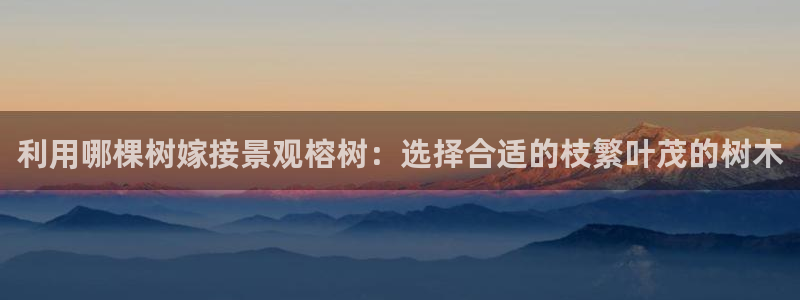 新宝gg手机app