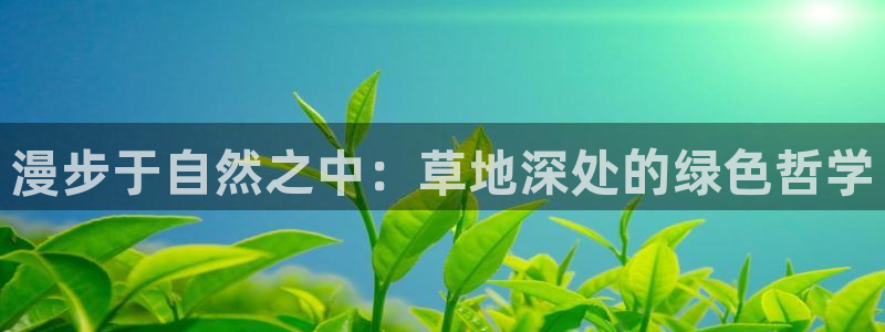 新宝gg娱乐官网