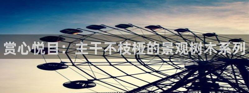 新宝gg网