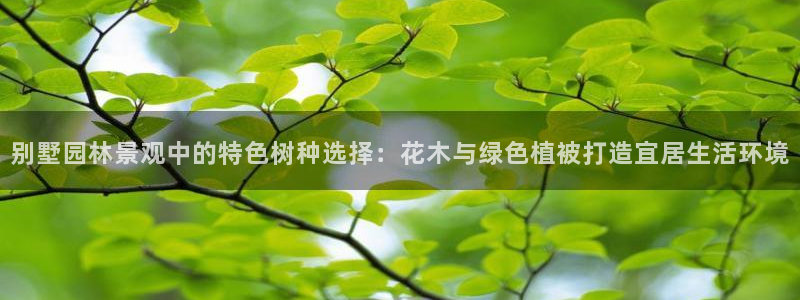 新宝gg 奇迹