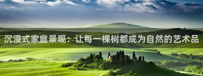 新宝gg下载