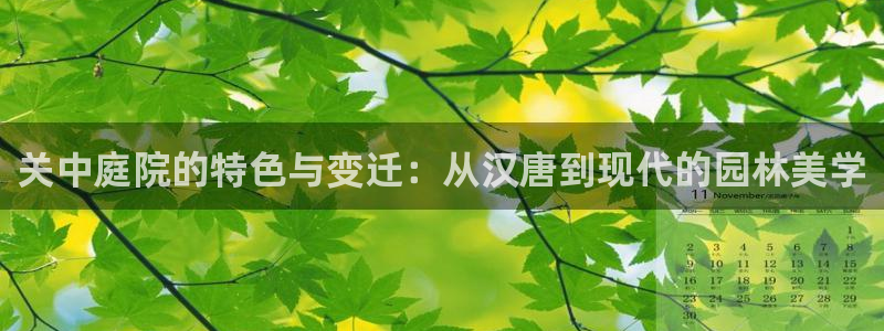 新宝GG玩家