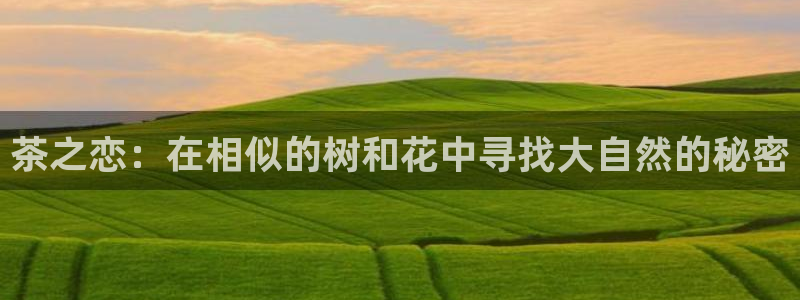 新宝gg创建奇迹