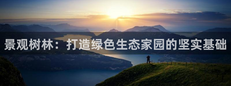 新宝gg cqdellar：景观树林：打造绿色生态家园的坚实基础