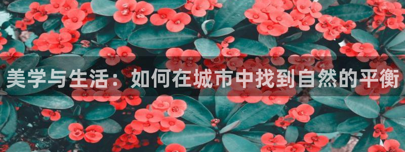 新宝gg 金苹果