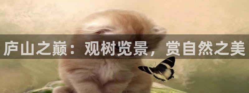 新宝gg登陆平台