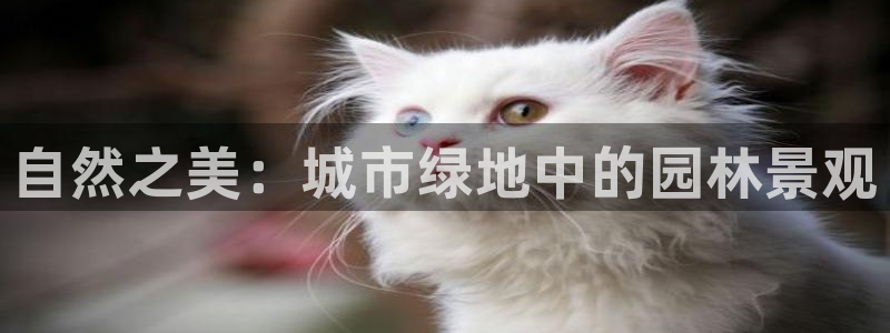 新宝gg总部