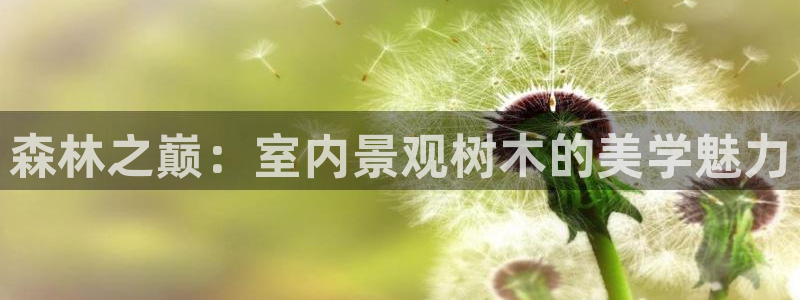 新宝gg ios下载：森林之巅：室内景观树木的美学魅力