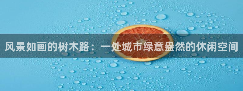 新宝gg一创造奇迹