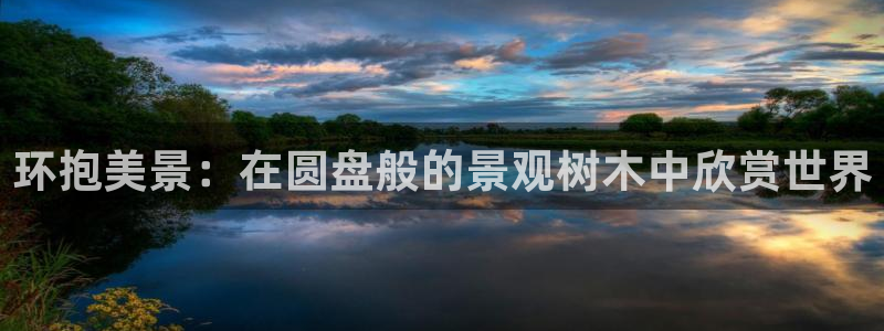 新宝gg dengludizhi