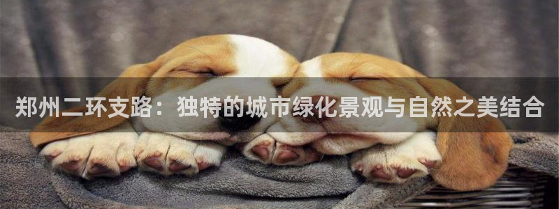 新宝gg博彩