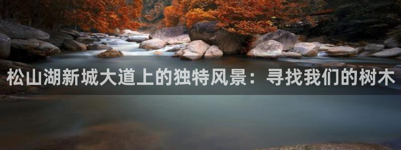新宝gg手机