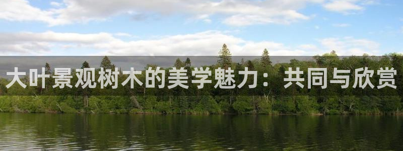 新宝gg平台首页