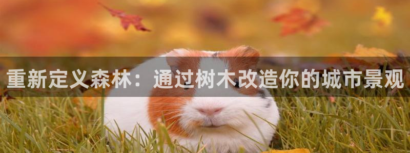 新宝gg娱乐主管q42873