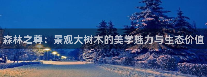新宝gg创造奇迹