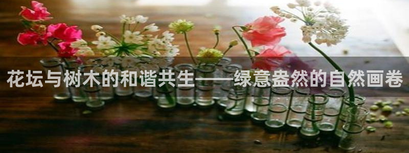 新宝GG娱乐-上皇巢网