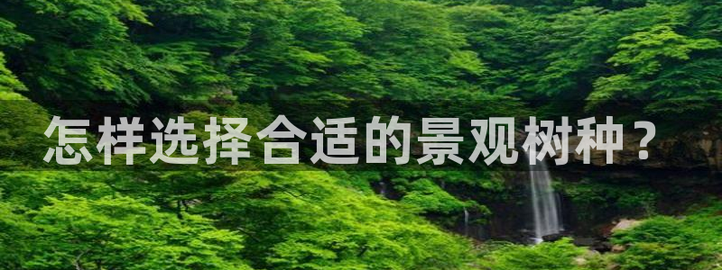 新宝gg奇迹