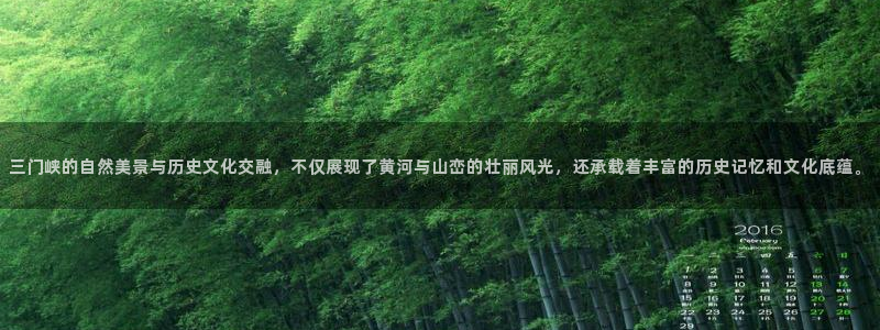 新宝gg高频彩票