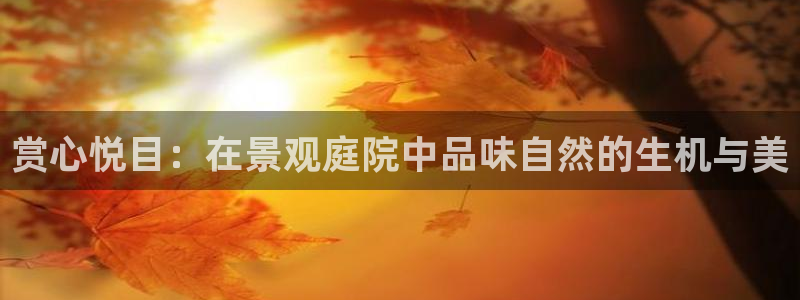新宝gg娱乐-上鼎狐网