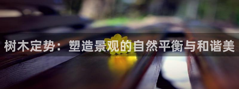 新宝gg娱乐注册-全芏网：树木定势：塑造景观的自然平衡与和谐美