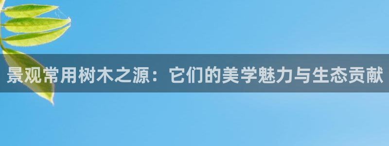 新宝gg有假吗