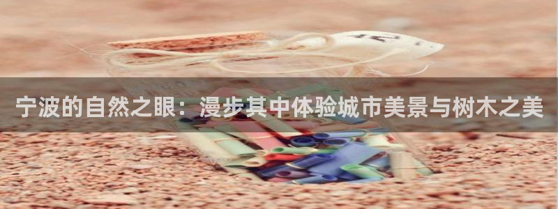 新宝GG正规78778：宁波的自然之眼：漫步其中体验城市美景与树木之美