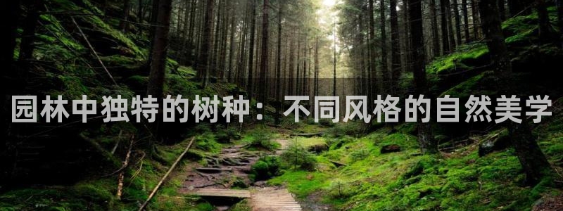 新宝gg8：园林中独特的树种：不同风格的自然美学