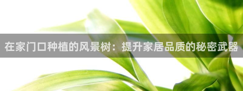 新宝gg代理登录：在家门口种植的风景树：提升家居品质的秘密武器