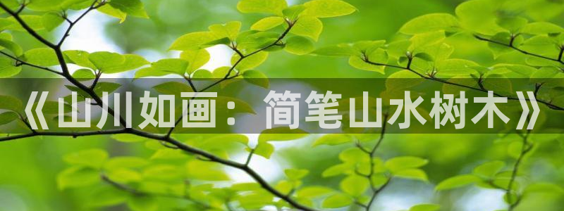 新宝gg助手：《山川如画：简笔山水树木》