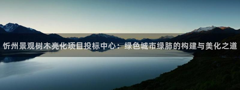 新宝gg测试