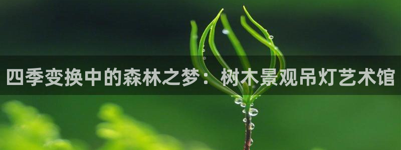 新宝gg黑平台