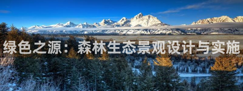 新宝 gg平台：绿色之源：森林生态景观设计与实施